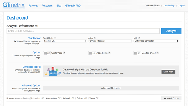 Advanced options GTmetrix testing tool