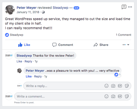 SteadyWP Page Speed Optimisation service review