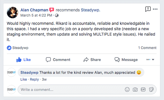 SteadyWP WordPress web development service review